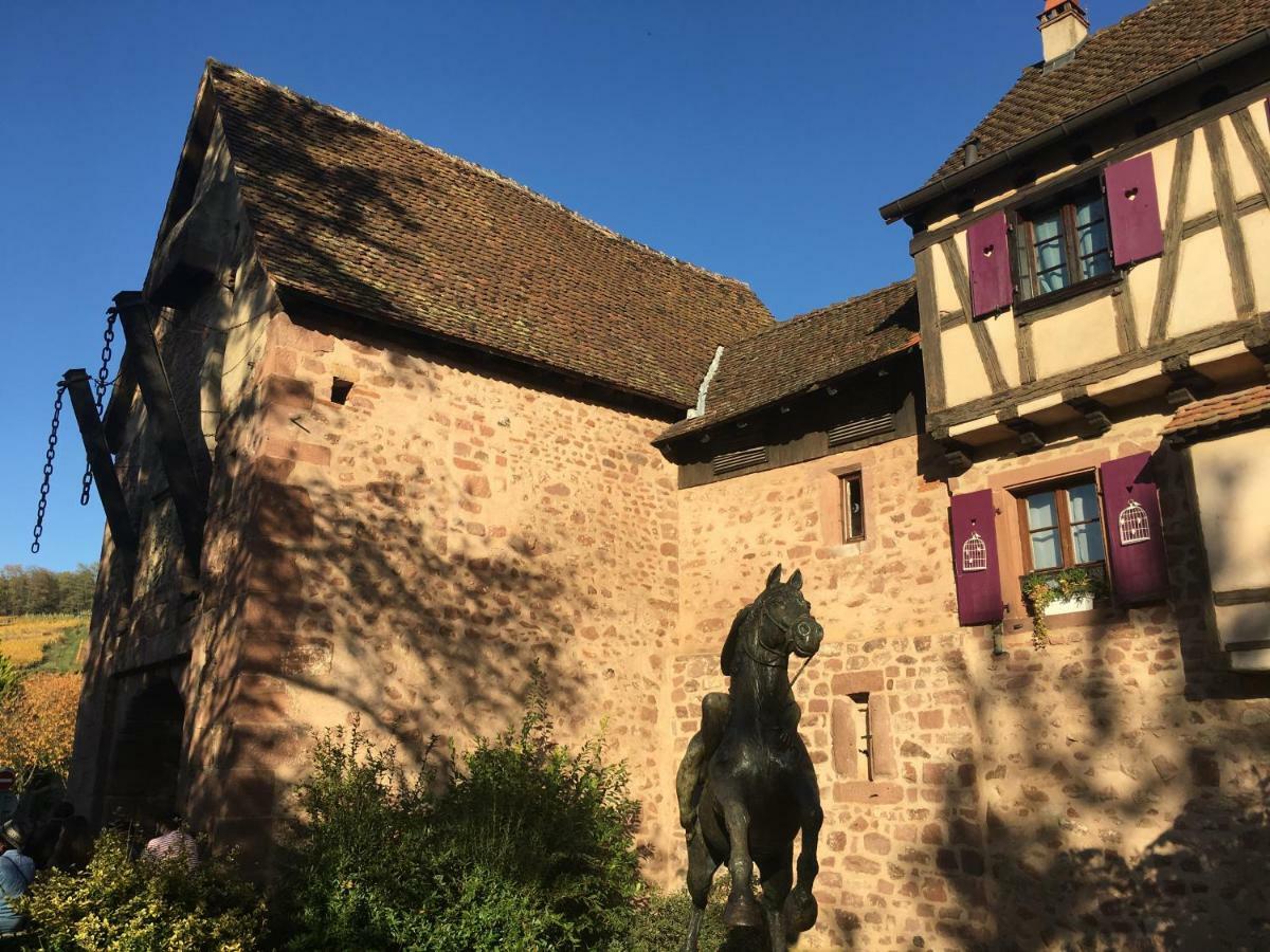 Laterale Residences Riquewihr Kültér fotó